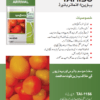 TAI-1156 ٹماٹر - Image 4