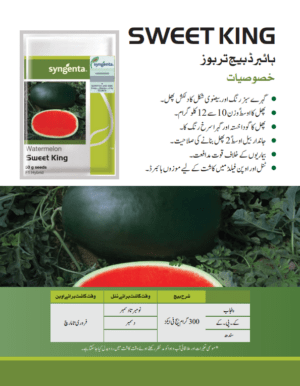 SWEET KING تربوز - Image 2