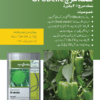 Orobelle شملہ مرچ - Image 2
