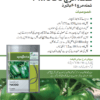 PM080 شملہ مرچ - Image 2