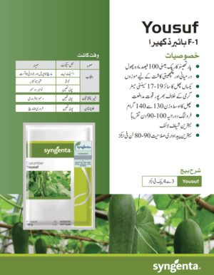 Yousuf کھیرا - Image 2