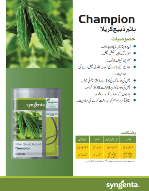 Champion كريلا - Image 2