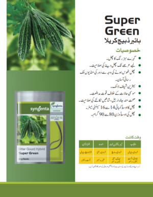 Super Green كريلا - Image 2