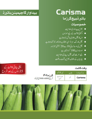Carisma کرزما - Image 2