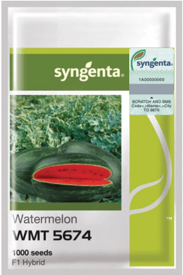 WMT 5674 تربوز