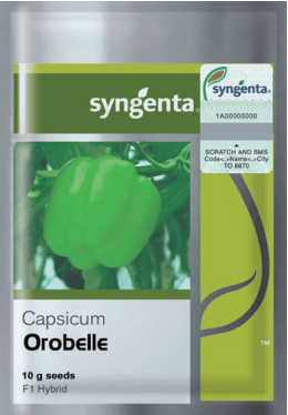 Orobelle شملہ مرچ