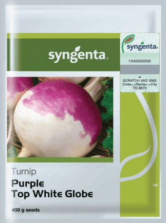 Purple Top White Globe شلجم