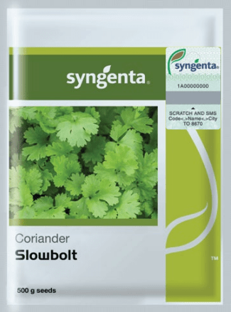 Slowbolt دھنیا