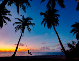 Finding Peace in a Chaotic World